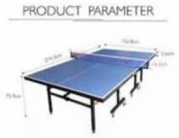 pingpong table