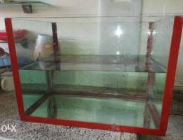 aquarium with red aluminum sides for 12000...