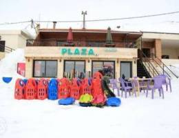 cedars plaza chalet