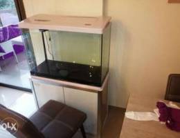 Aquarium Ø§ÙƒÙˆØ§Ø±ÙŠÙˆÙ… Ø§ÙƒÙˆØ§Ø±ÙŠÙ…