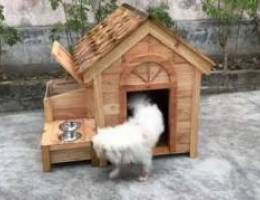 pet house