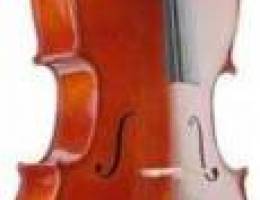 STAGG solid spruce cello with bag