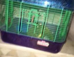 hamster house