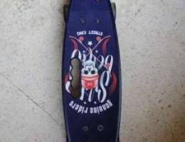 penny skate board