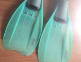 Fins for sale , palms palmes palmet Ø¨Ø§Ù„Ù…Ø§Øª...