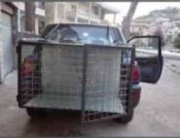 dog steel cage