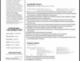 Architect looking for a JOB