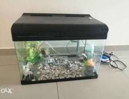 Aquarium + Ù…ÙˆØªÙˆØ± Ù‡ÙˆØ§Ø¡ + ÙÙŠÙ„ØªØ± + Ø¯ÙŠÙƒÙˆØ±