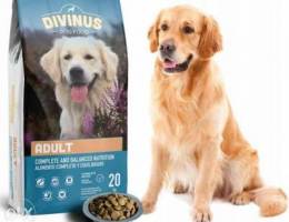 DIVINUS adult dog food 20kg