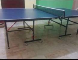 Ping pong ( table tennis )