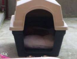 dogs house