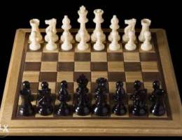 Chess courses for beginners