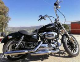 Sportster 1200 low milage