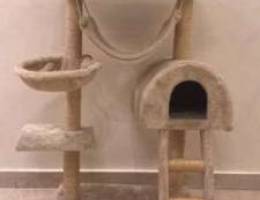 Indoor Cat House