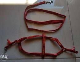 Leash and harness for dogs/puppies