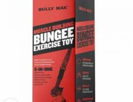 Muscle Building Exercise Toy (dogs)