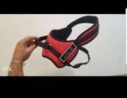 Dog Harness