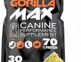 Gorilla Max (DOGS)