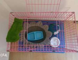 Small Dog accessories- dog cage and essent...