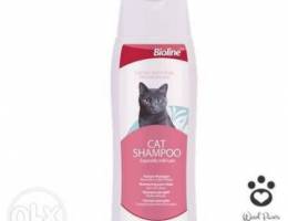 cat shampoo