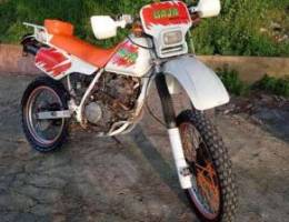 Baja 250cc