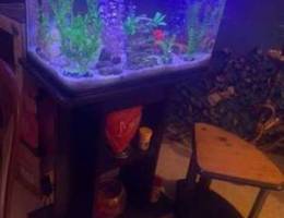 aquarium for sale