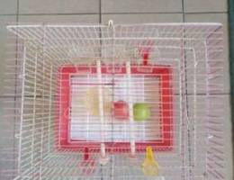 Bird cage