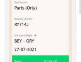plane ticket to paris