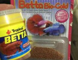 betta fish foods (40.000)