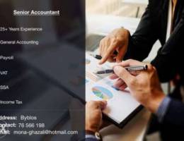 Senior Accountant For Hire