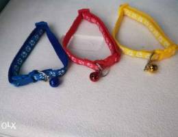 Any collar 20.000