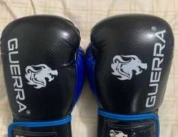 MMA/ Muay thai full equipment