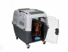 iata cage for dog (for shipping)