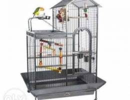 Parrots cage