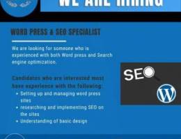 Word Press & SEO Specialist