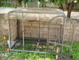 Dog's Cage