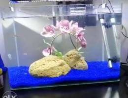 aquarium Ø§ÙƒÙˆØ§Ø±ÙŠÙˆÙ…