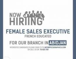 Sales Executive