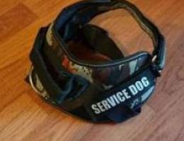 Dog Harness