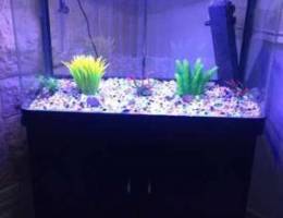 aquarium for sale