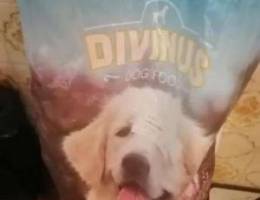 DIVINUS Dry food for dogs 140 alef