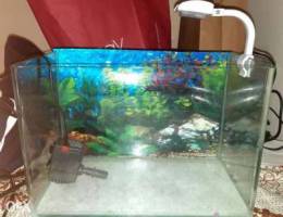 Ø­ÙˆØ¶ Ø³Ù…Ùƒ Ù„Ù„Ø¨ÙŠØ¹ / aquarium for sell