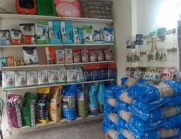 Dryfood pets accessories