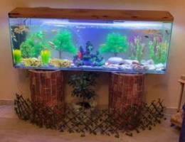 aquarium for sale