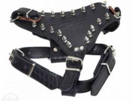 Leather Spiked Harness Collar