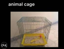 animal cage