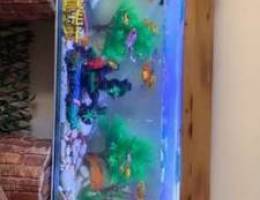 aquarium for sale