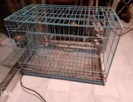 animal cage