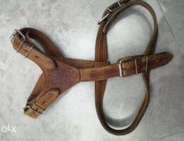 Dog safety harness leather