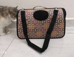 pet soft bag